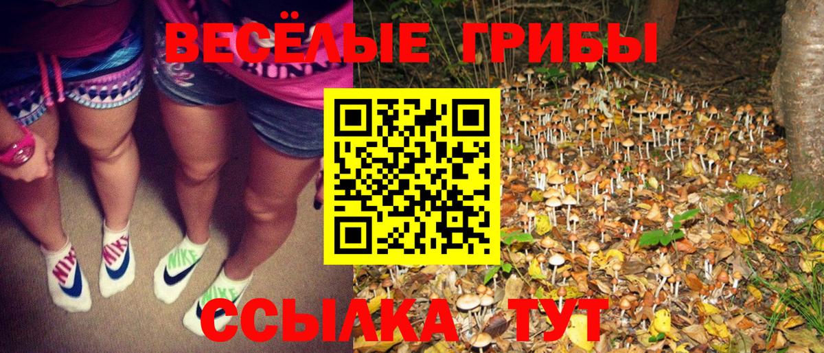 Галлюциногенные грибы Psilocybe Реж