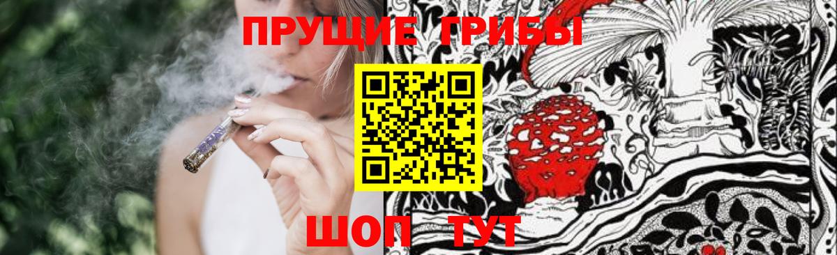 Реж  Псилоцибиновые грибы ЛСД  Псилоцибиновые грибы Psilocybe  Вход с VPN 