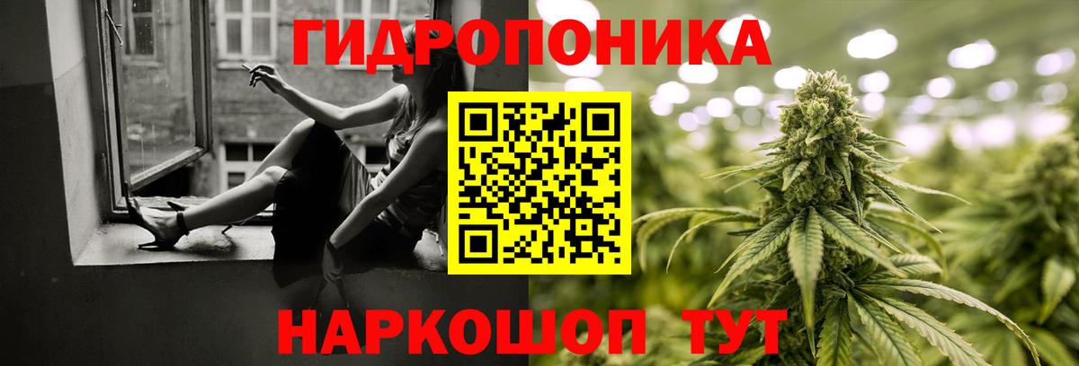 Шишки марихуана тримм  Шишки марихуана конопля  Бошки марихуана марихуана  Вход с VPN  Реж  Канабис тримм 